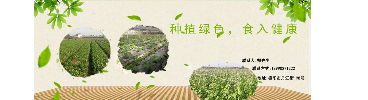 德陽(yáng)愛(ài)心餐飲服務(wù)有限公司